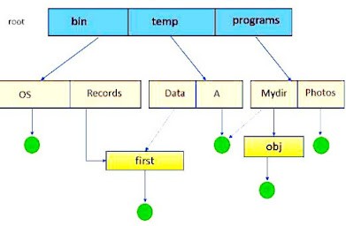 File System Vs Database Management System(DBMS)